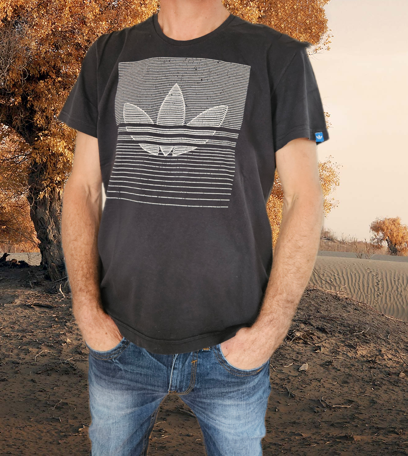 Tee-shirt Adidas homme