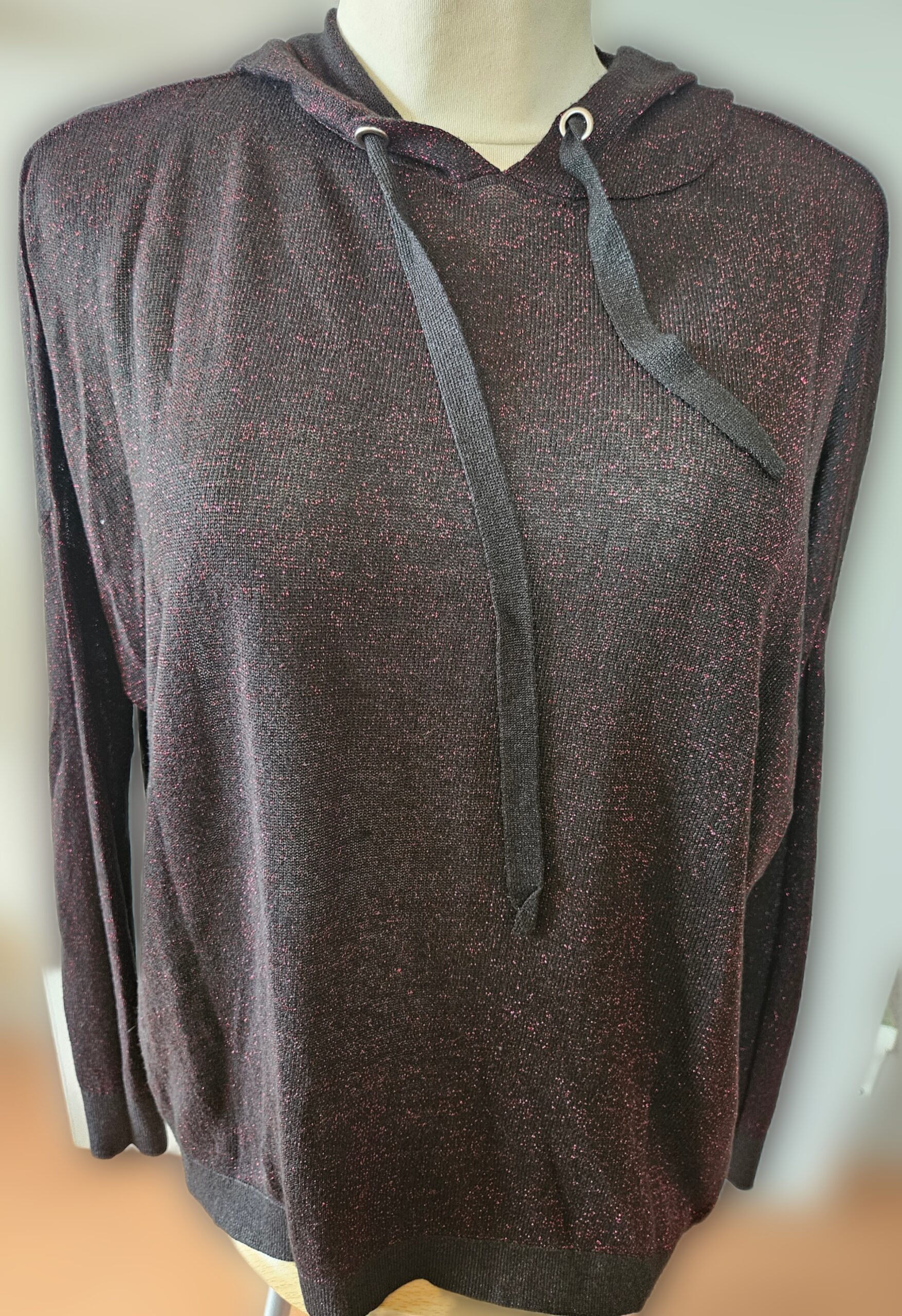 Sweat à capuche